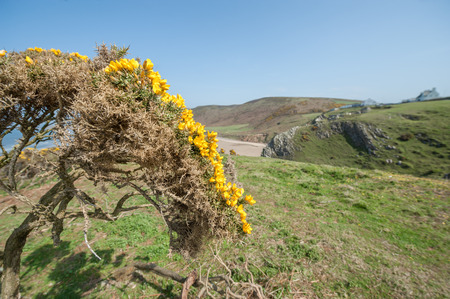 coastal landscape of Rhossili Bay in South wales, UKの写真素材