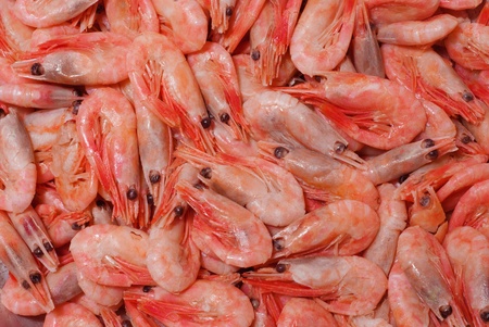 closeup on prawns in a market place