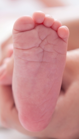 close up of Little baby feetの写真素材