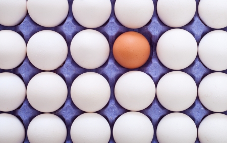 egg in carton box textureの写真素材
