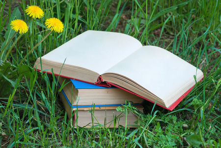 Books on the grass  の写真素材