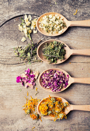 Nature medicine . Herbs in wooden spoon .の写真素材