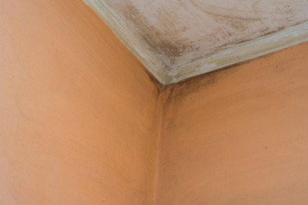  mold in the old room wall .の写真素材