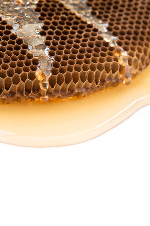 close-up honey beehive on white backgroundの写真素材