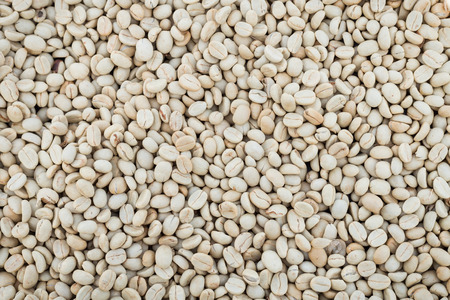 raw coffee bean prepare to roastの写真素材