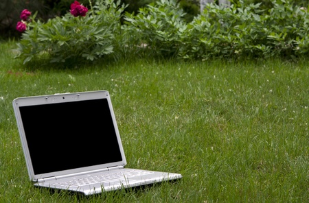 Laptop in natureの写真素材