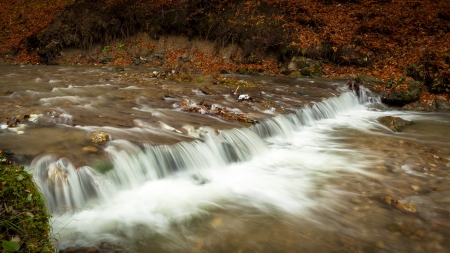 Autumn creek woods with yellow trees foliage and rocks in forest mountain.の写真素材