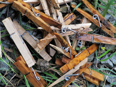 Clothespins 