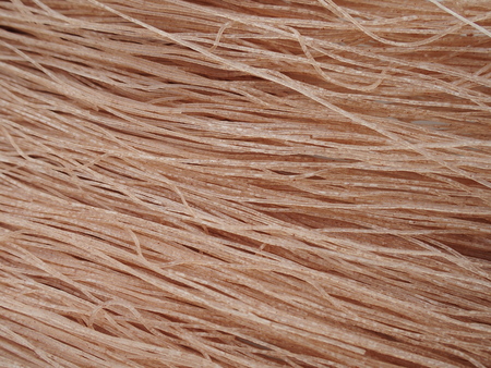 brown rice dried noodle for diabetesの写真素材