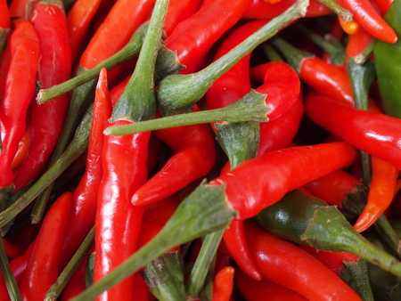 red chili close upの写真素材