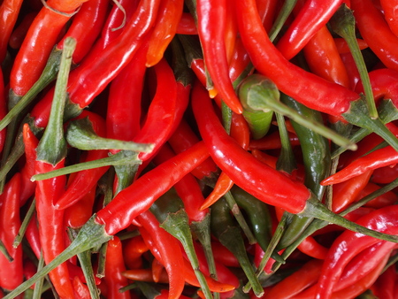 red chili close upの写真素材