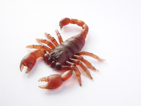 scorpion made from synthetic rubberの写真素材