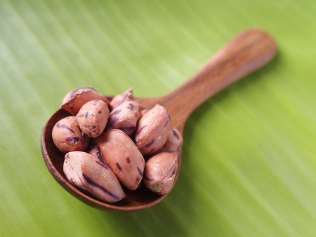 tiger bean in round teakwood spoon on banana leaf backgroundの写真素材