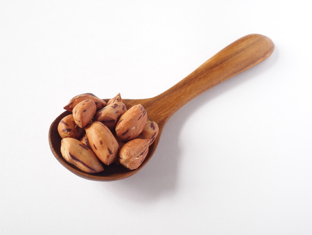 tiger bean in round teakwood spoon on white background