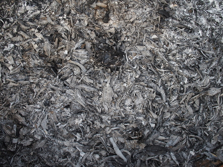 leaf ashesの写真素材