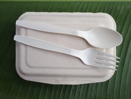 bioplastic spoon fork lunch box on banana leavesの写真素材