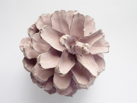 painted blush color pine cone on white backgroundの写真素材