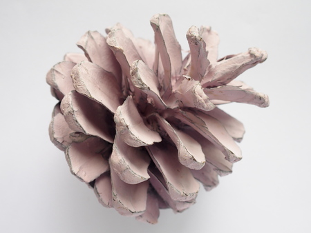 painted blush color pine cone on white backgroundの写真素材