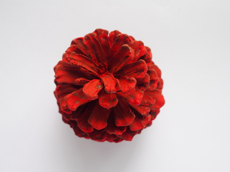 painted red color pine cone on white backgroundの写真素材