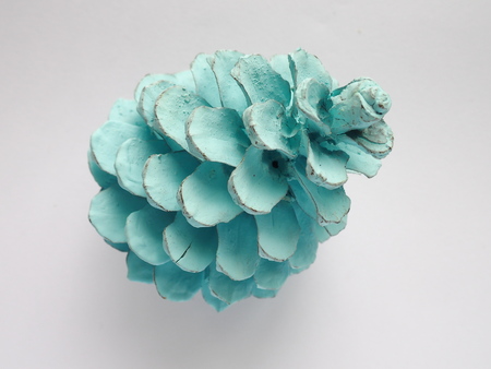 painted arctic blue color pine cone on white backgroundの写真素材