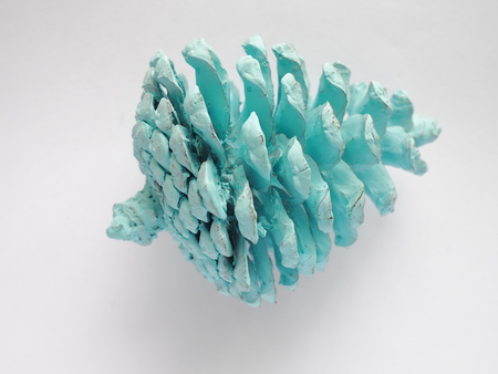 painted arctic blue color pine cone on white backgroundの写真素材