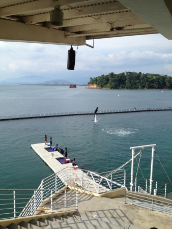 Subic Ocean Adventure Philippinesの素材