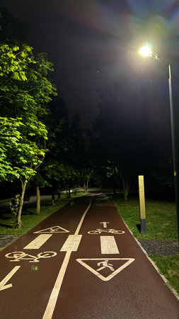 Bicycle lane in the park at night with lights and trees.の写真素材