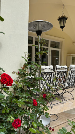 Outdoor patio with red roses and a lantern in the foreground.の写真素材