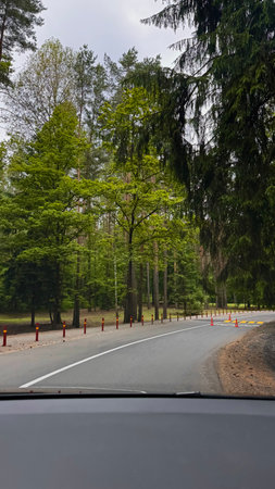 View from the car on the road with green forest and cloudy sky.の写真素材