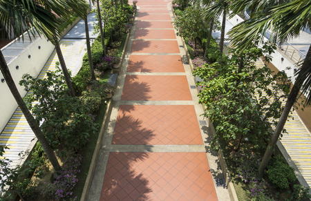 Pedestrian Walkの写真素材