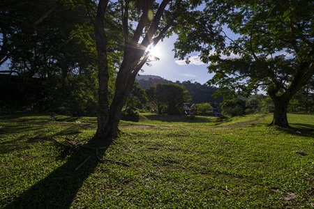 Sunny day in the park