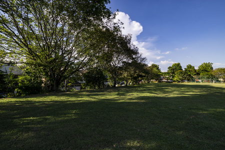 Sunny day in the parkの写真素材