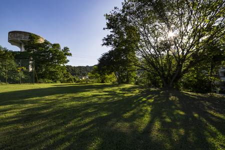Sunny day in the parkの写真素材