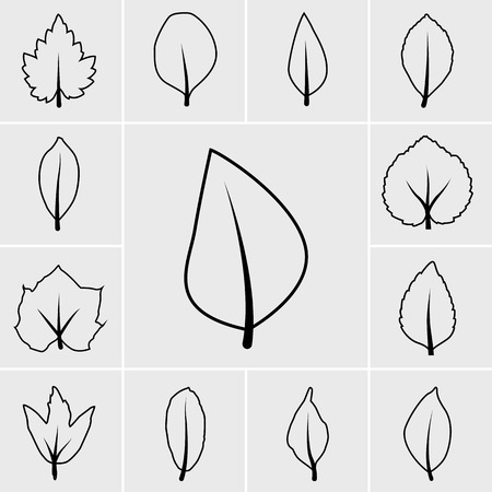 black Leaf icon vector set on gray backgroundのイラスト素材