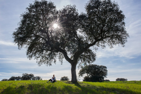 Mother rocking a child in her arms under acorn tree. Enjoying nature in family concept