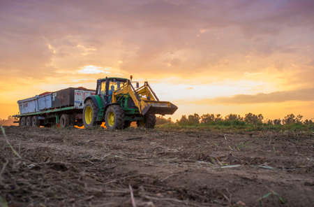 Badajoz, Spain - August 22th, 2018: Tractor transports three gondolas containers through tomatoes field at sunset. Tomatoes season at Vegas del Guadiana, Spainのeditorial素材