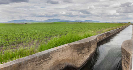 Huge irrigation canal flows over the fertile meadows of High Guadiana or Vegas Altas, Extremadura, Spain. panoramic shotの写真素材