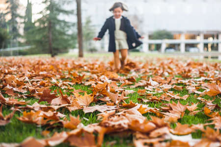 Happy little girl playing with autumn leaves in the park. She is walking over the yellow leaves in the autumn parkの写真素材
