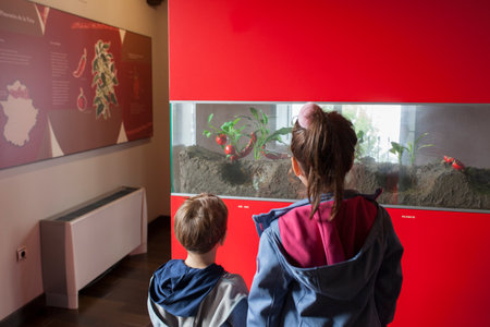 Jaraiz, Spain - Nov 1st, 2020: Children observing display cabinet at Pimenton de la Vera Museum, Jaraiz de la Vera, Caceres, Spainのeditorial素材