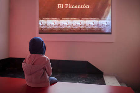 Jaraiz, Spain - Nov 1st, 2020: Boy watching film at Pimenton de la Vera Museum, Jaraiz de la Vera,...