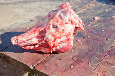 Pieces of pig over wooden table. Traditional home slaughtering in a rural area, Extremadura, Spain
