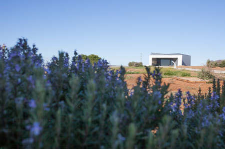 Archeological site of Huerta Montero, Tholos Dolmen in Almendralejo, Spain. Visitors center buildingのeditorial素材