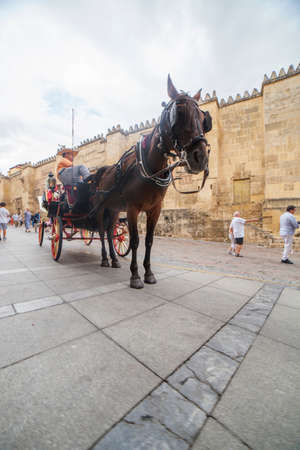 Cordoba, Spain - 2018 Dec 9th: Horse carriage waiting for tourists near Great Mosque, Cordoba, Spainのeditorial素材