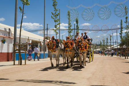 CORDOBA - MAY 31: Traditional carriage at Cordoba festival. May 31, 2013 in Cordoba, Spainのeditorial素材