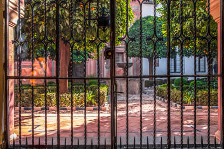 Cordoba, Spain - Dec 7th 2018: Cordoba Fine Arts Museum courtyard. View through wrought iron and glass door, Spain. selective focusのeditorial素材