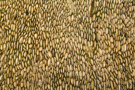 Pebble pavement is wrapped with rain water. It is photographed close-up in ancient Spanish town Cordoba.の写真素材