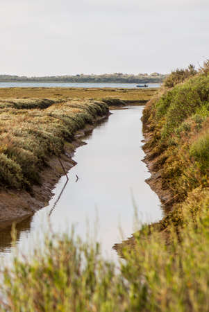Little fishing boat working along Piedras river marshlands, El Rompido, Huelva, Spain