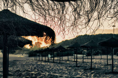 Rustic brown sun umbrellas made of natural fibers on a nice beach in Costa del Sol Spain