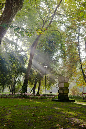Ray of light in public park. Nature freshness in park and gardens, Caldas da Ranha, Portugalの写真素材