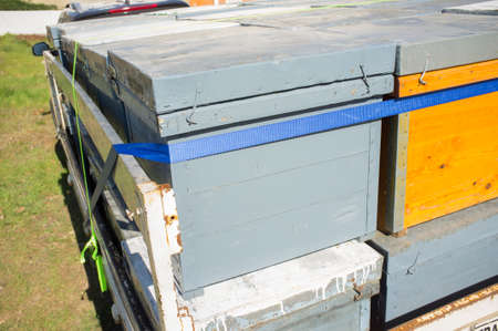 Trailer load with wooden hives ready to move. Beekeepers periodically moves their hives to get...